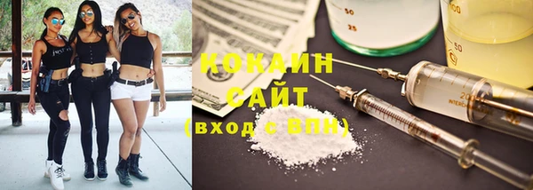 молекула духа Пересвет