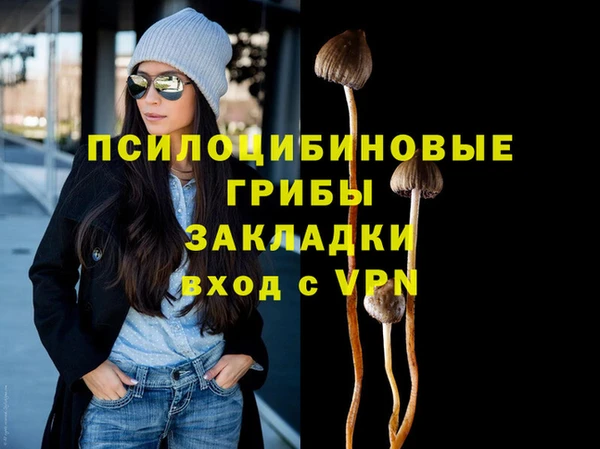 скорость Алексин