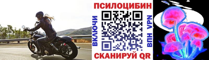 omg ONION  Гаджиево  Псилоцибиновые грибы мухоморы  магазин продажи наркотиков 