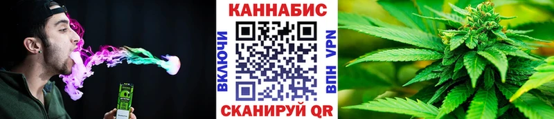 Марихуана сатива  продажа наркотиков  Гаджиево 